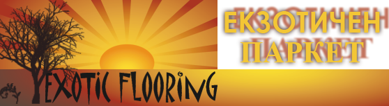 Exotic Parket - Logo